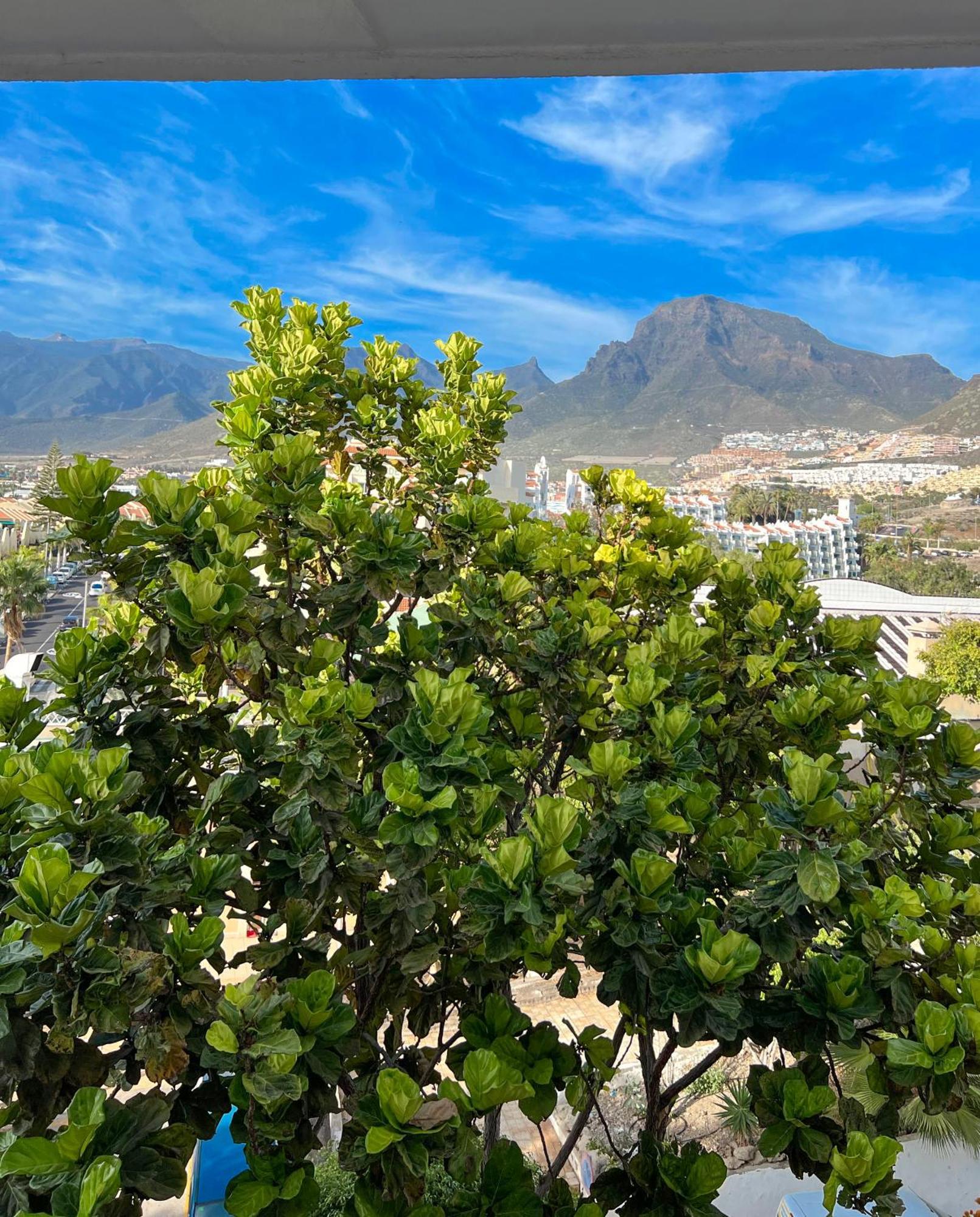 Tenerife Paradise Anna Studio Адехе Екстериор снимка