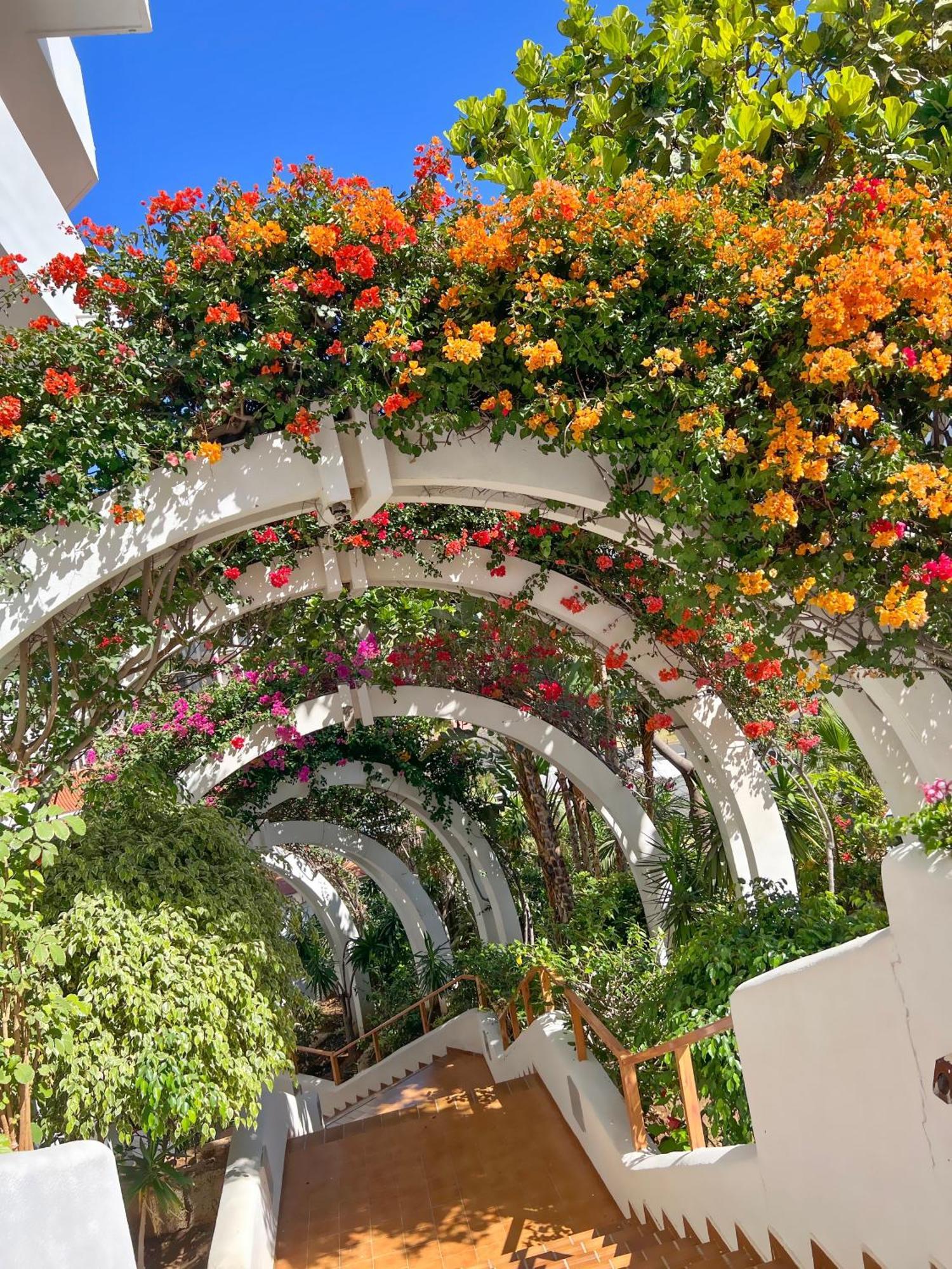 Tenerife Paradise Anna Studio Адехе Екстериор снимка